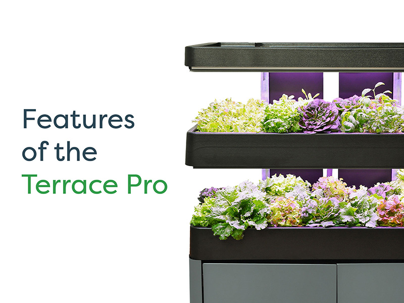 Features of the Terrace Pro