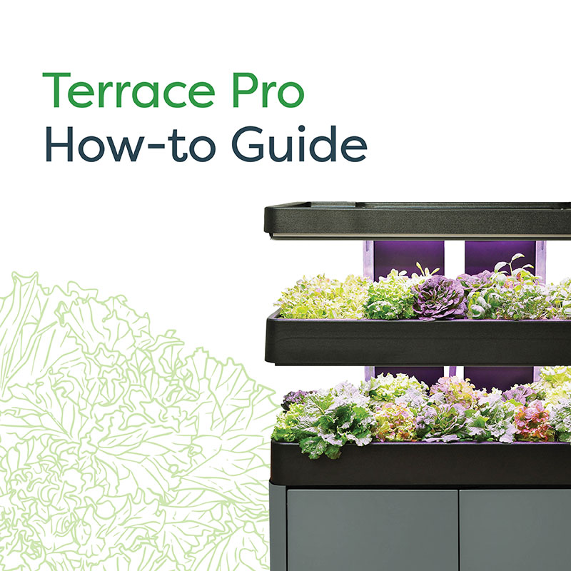 Terrace Pro How-to Guide