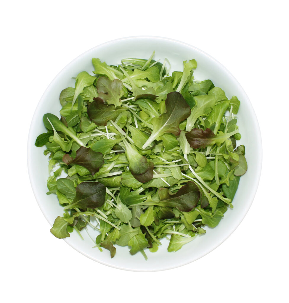 Baby Leaf lettuce in white bowl