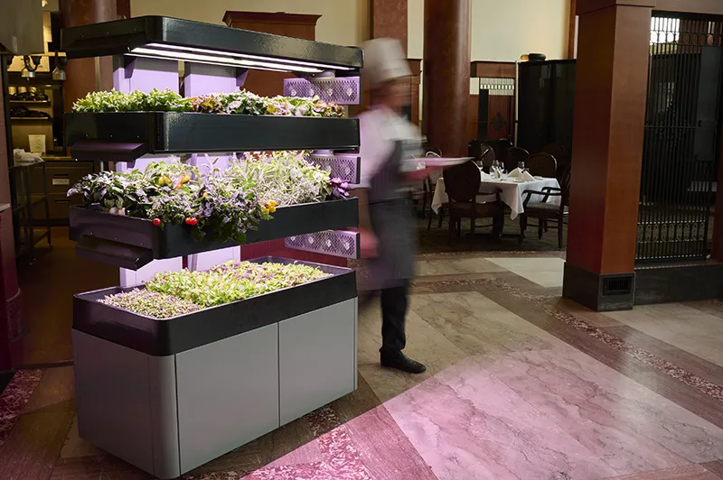 Chef walking past a Terrace Pro 3-Tier with a plate of food