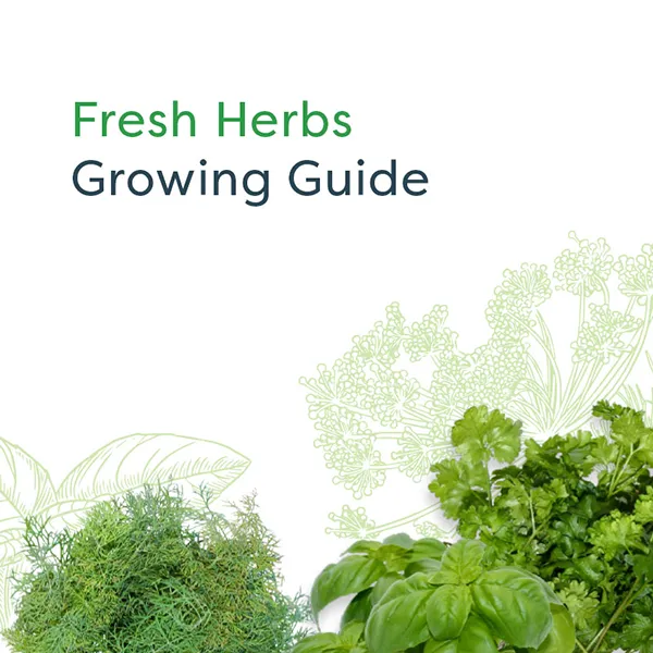 Fresh Herbs Growing Guide cover image