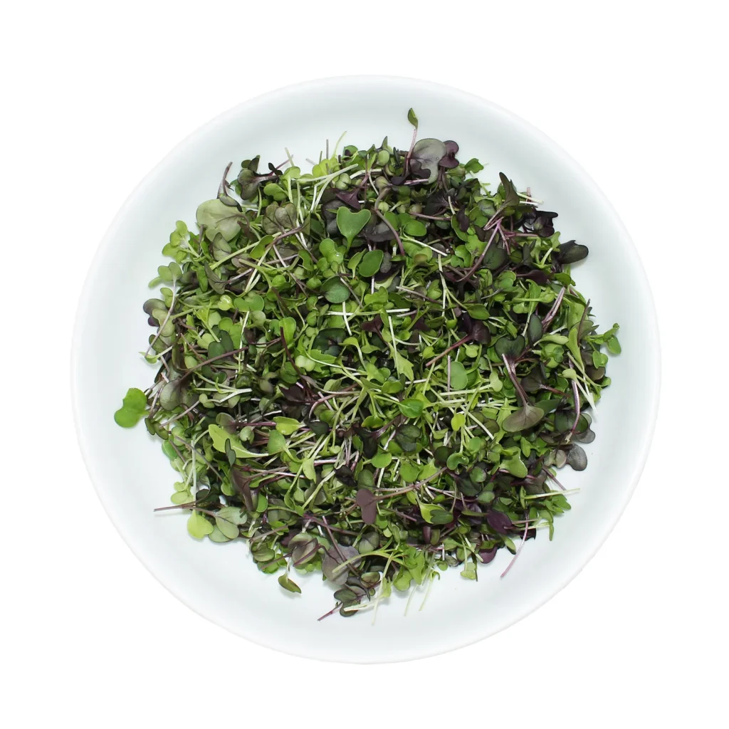 Bowl full of microgreens