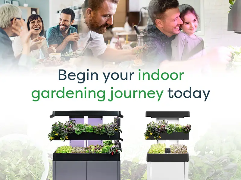 Begin your indoor gardening journey today