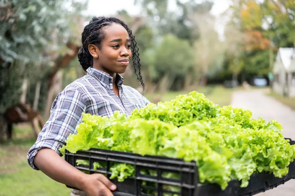 Woman holding a basket of lettuce oudoors